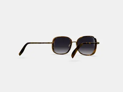 Fernanda Sunglasses in Cognac Tortoise with Polished Gold 3D model
