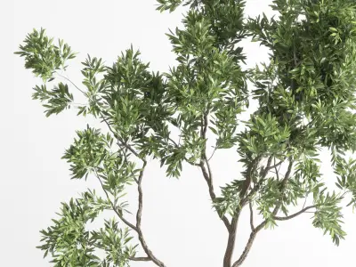 Indoor plant 285 concrete dirt vase plant tree pot 3D model