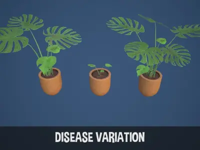 Stylized Monstera Swiss Cheese Plant Low-poly 3D model