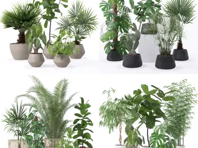 20 Photorealistic Flowers for Interiors - set 126 131 133 141 3D Model Collection