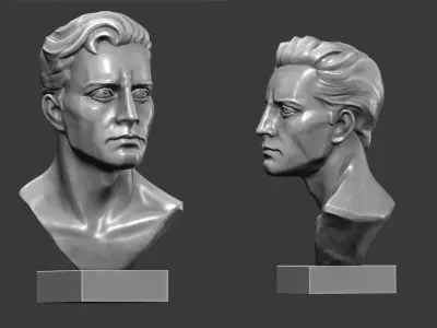 Bust of men 3D print model
