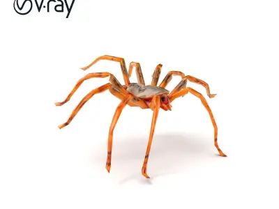 Huntsman Spider Agile Model Pack Low-poly 3D model