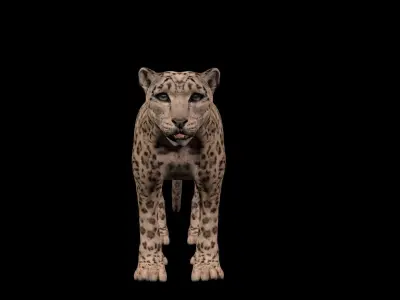 snowleopard snow leopard Low-poly 3D model