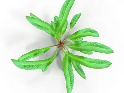 Set of aquarium plants 3D model
