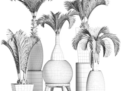 Plants Collection 206 Palms 3D model