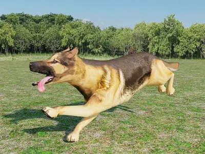 German Shepherd Low-poly 3D model
