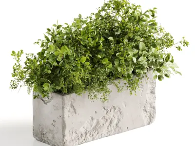Plants Bouquets 3D model