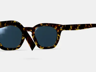 Terrell Sunglasses in Black Oak Tortoise 3D model