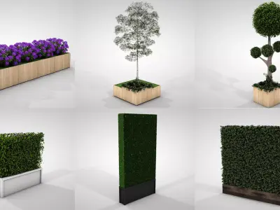 Hedges and Planters Collections 3D model
