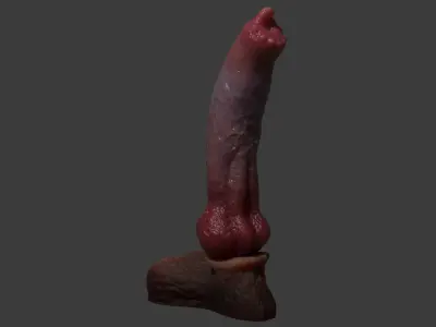 Huge Dog Penis Rigged Low-poly 3D model