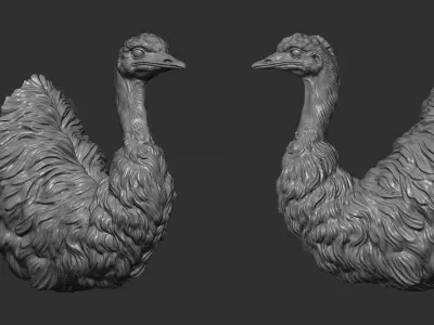Emu ostrich bust 3D print model