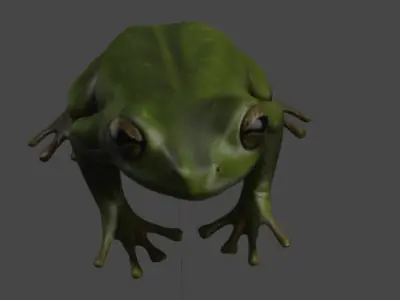 Realistic Frog 3D Model 3D model