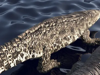 Crocodile Family In Water 3D model