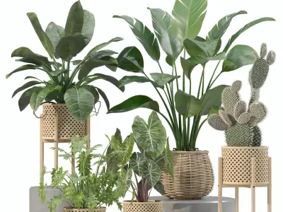 20 Photorealistic Flowers for Interiors - set 206 210 211 216 3D Model Collection