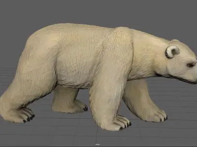 POLAR BEAR Low-poly 3D model