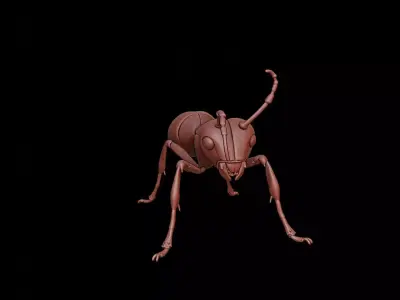 Ant Animal Sculpture 3D print model