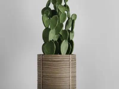 A SET of plants and cactus in handmade wooden baskets 286 3D model