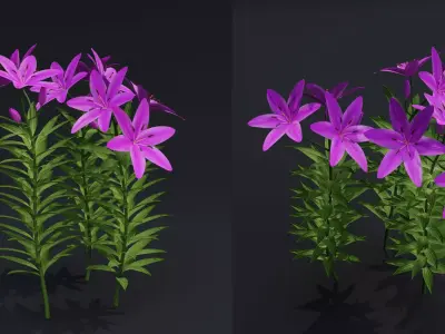 Lilium Lily Plant Low-poly 3D model
