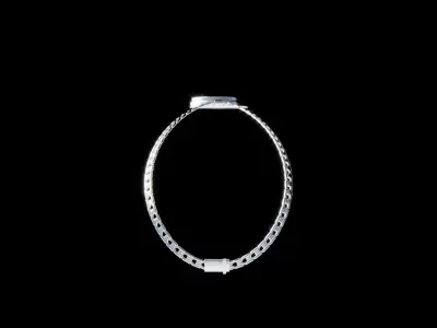 Blank Chain with Round Medallion Low-poly 3D model