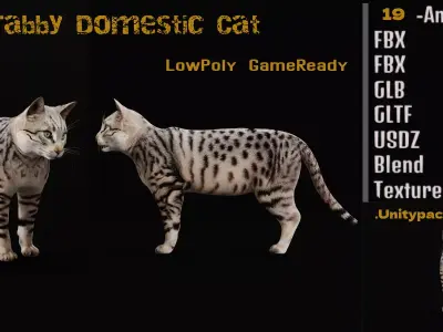 Silver Tabby Cat Low-poly 3D model