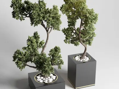 Collection Indoor outdoor plant 160 concrete vase pot-bonsai Low-poly 3D model