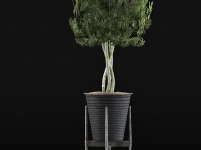 Plants Collection 54 3D model