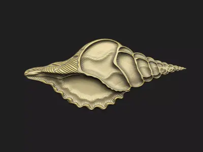 Shell cross section cnc aspire artcam V relief print engrave 3D print model
