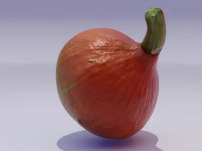 Ultra-realistic pumpkin Low-poly 3D model