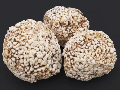 Stone XVII 3D model