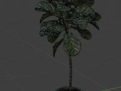 FLOWER two plants in pot on table Free low-poly 3D model