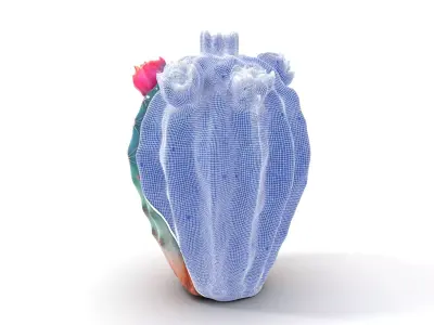 Vibrant Cactus Blossom model pack Low-poly 3D model