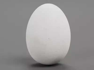 -White Egg- 3D model