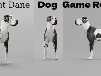 Great Dane Dog 3D model