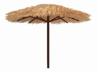 Bamboo Parasol 3D model