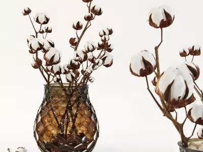 Cotton in a vase 3D model