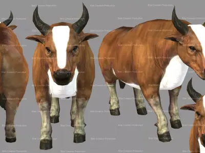 Cow Animated Low-poly 3D model