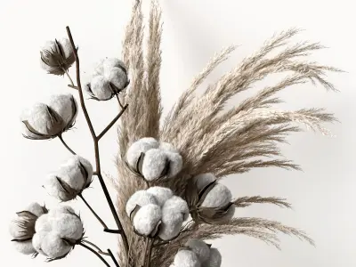 Decorative set with dry plants 5 3D model