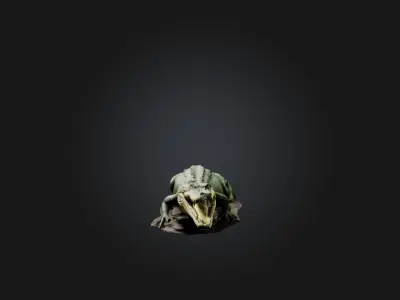 Realistic Crocodile Model Low-poly 3D model