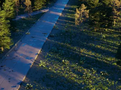 Road in the forest 3D model