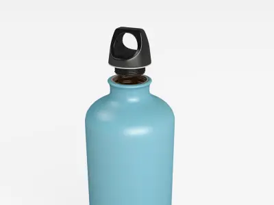 Metal Bottle 3D model
