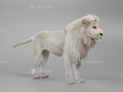 White Lion Animation - Blender 3D model