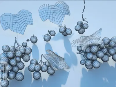 Grapes Single Fruit Bunches and Model Kit Low-poly 3D model