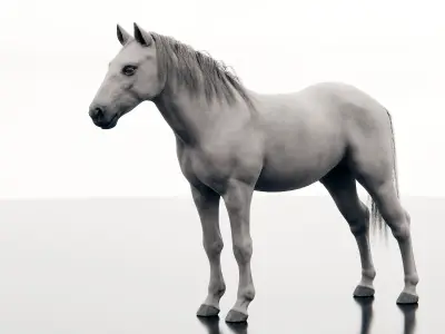 Horse - Realistic Low-poly 3D model