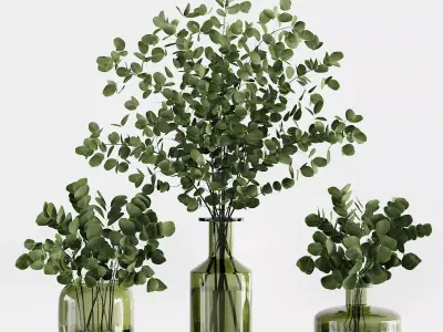 Collection Indoor Plants 02 3D model