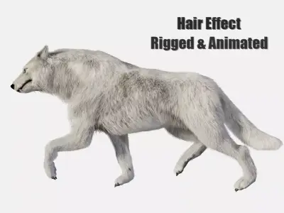 animated arctic wolf Low-poly 3D model