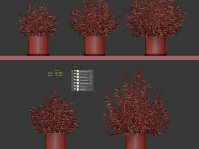 Rosemary in pots on the shelves - 5 models 3D model