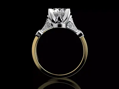 Gold N1495 3D print model