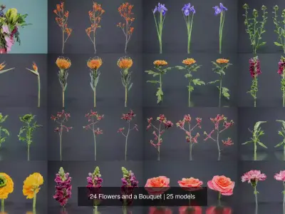24 Flowers and a Bouquet 3D Model Collection