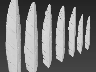 Feather seven different sizes 3D model