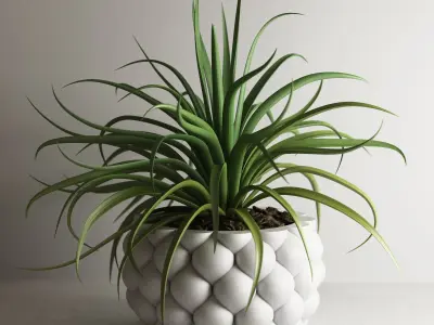 pot collection a01 5 pots